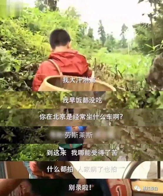 王艳复出接戏原因_王艳王志才结婚照片_王艳于正剧