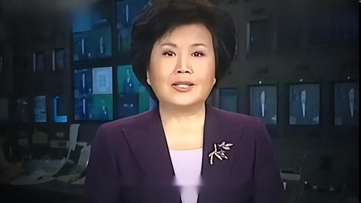 央视主持人邢质斌回忆录_邢质斌央视岁月变迁_邢质斌老公简历