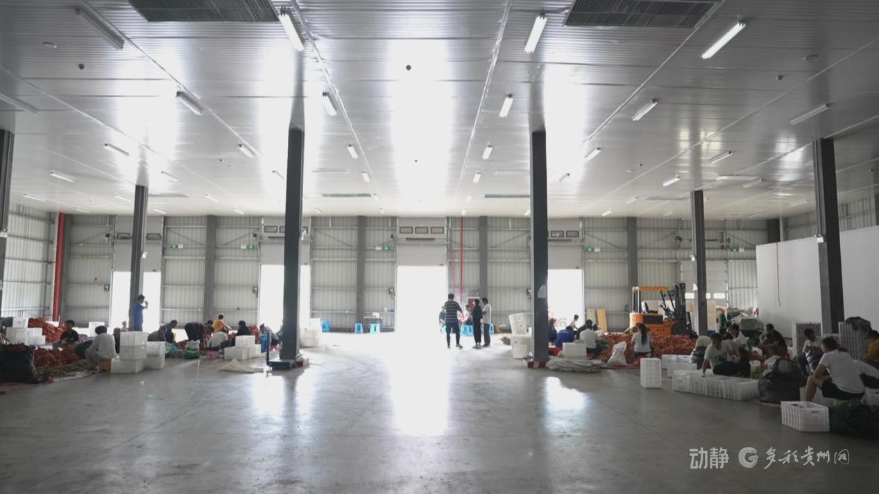 冷链物流基地建设案例_贵州西部农产品物流园_六盘水冷链物流骨干通道