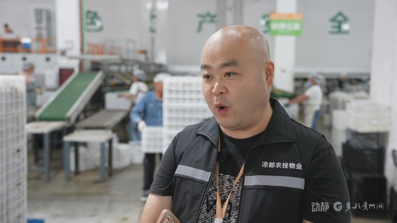 冷链物流基地建设案例_贵州西部农产品物流园_六盘水冷链物流骨干通道