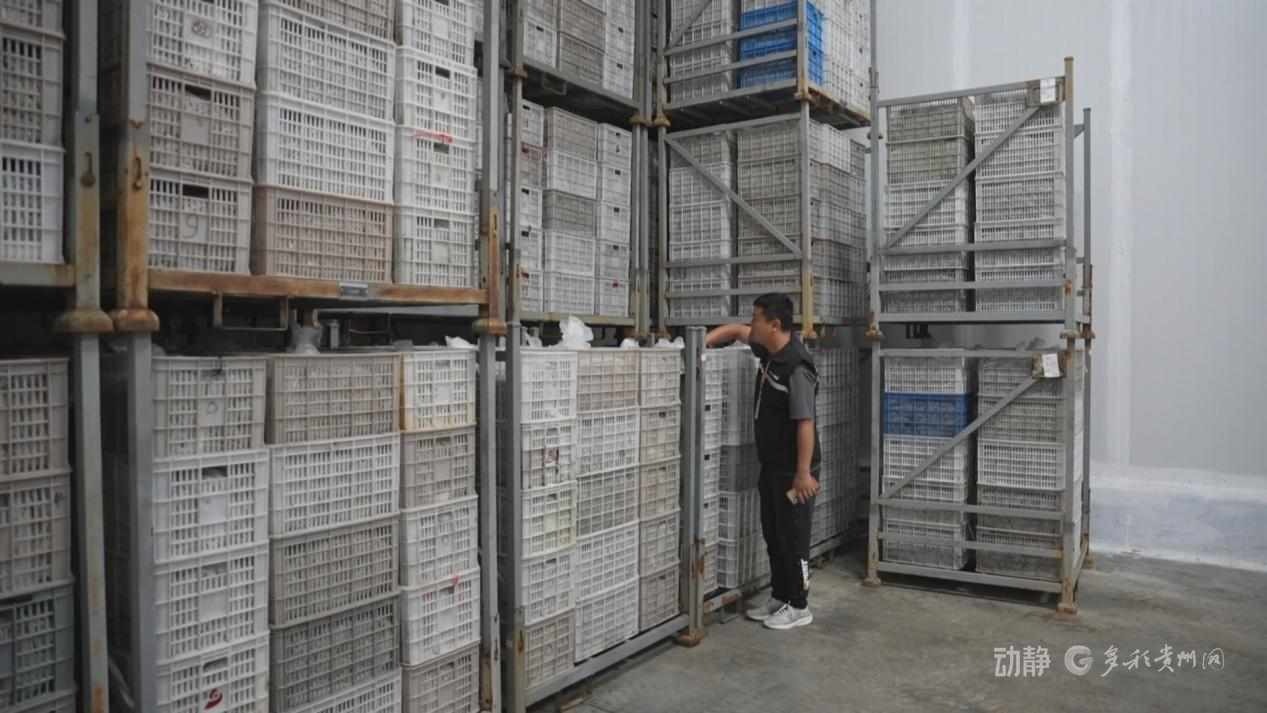 贵州西部农产品物流园_冷链物流基地建设案例_六盘水冷链物流骨干通道
