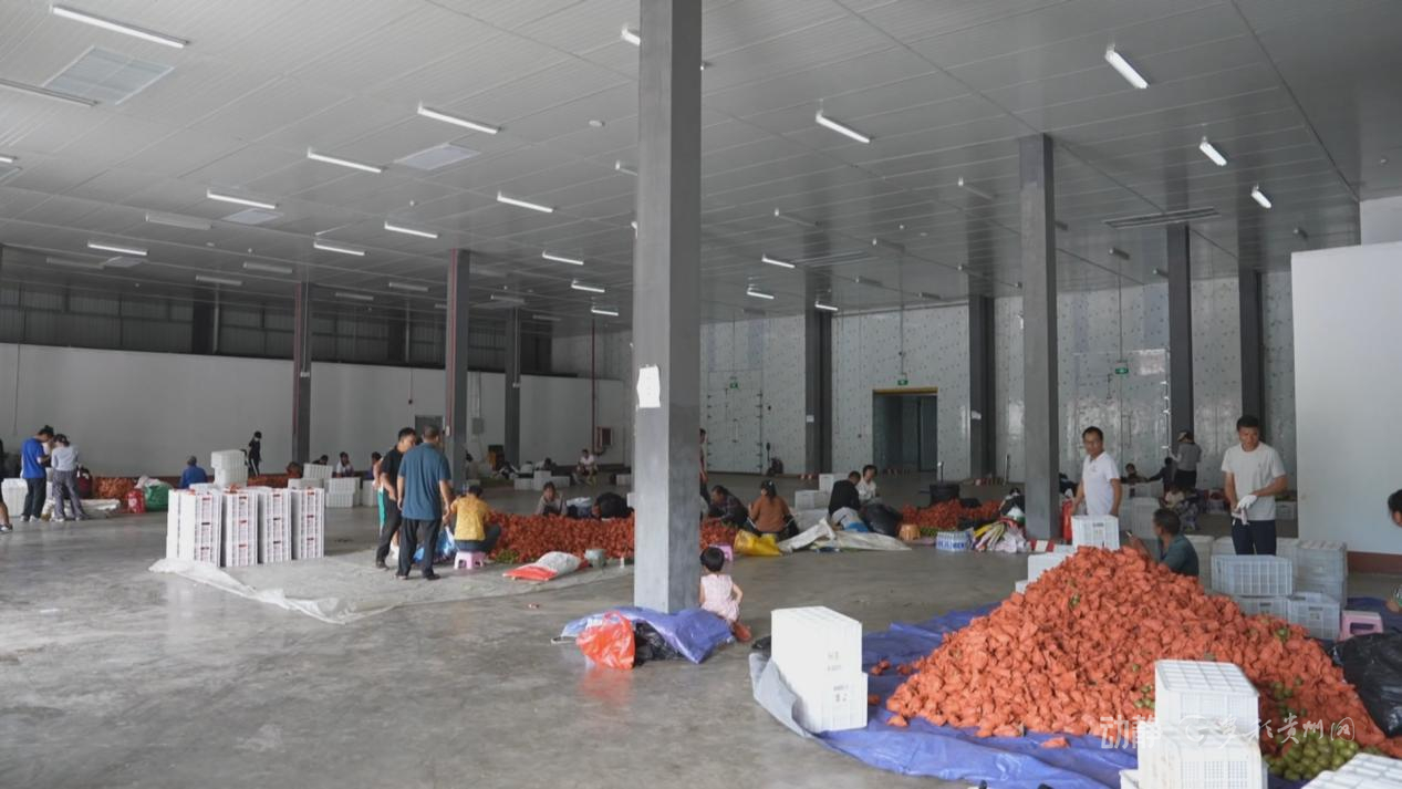 冷链物流基地建设案例_贵州西部农产品物流园_六盘水冷链物流骨干通道