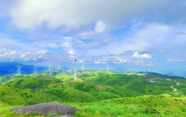 桂东中药材种植 国家地理标志证明商标 桂东康养避暑旅游_桂东荣获中国最佳生态旅游示范县称号 新华网