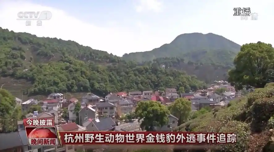 金钱豹外逃园方为何一再瞒报？央视：只见金钱不见豹