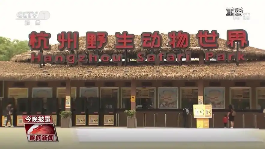 杭州逃逸豹子现身产3崽系谣言_杭州金钱豹逃逸真相_杭州野生动物世界金钱豹外逃事件