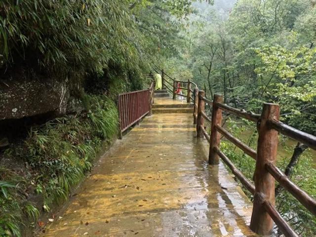 景区回应男童坠落栈道已加装护栏 游客反映安全隐患