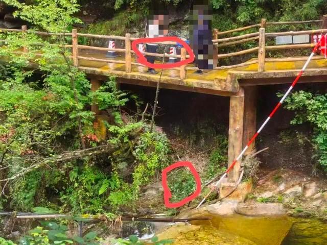 景区回应男童坠落栈道已加装护栏 游客反映安全隐患