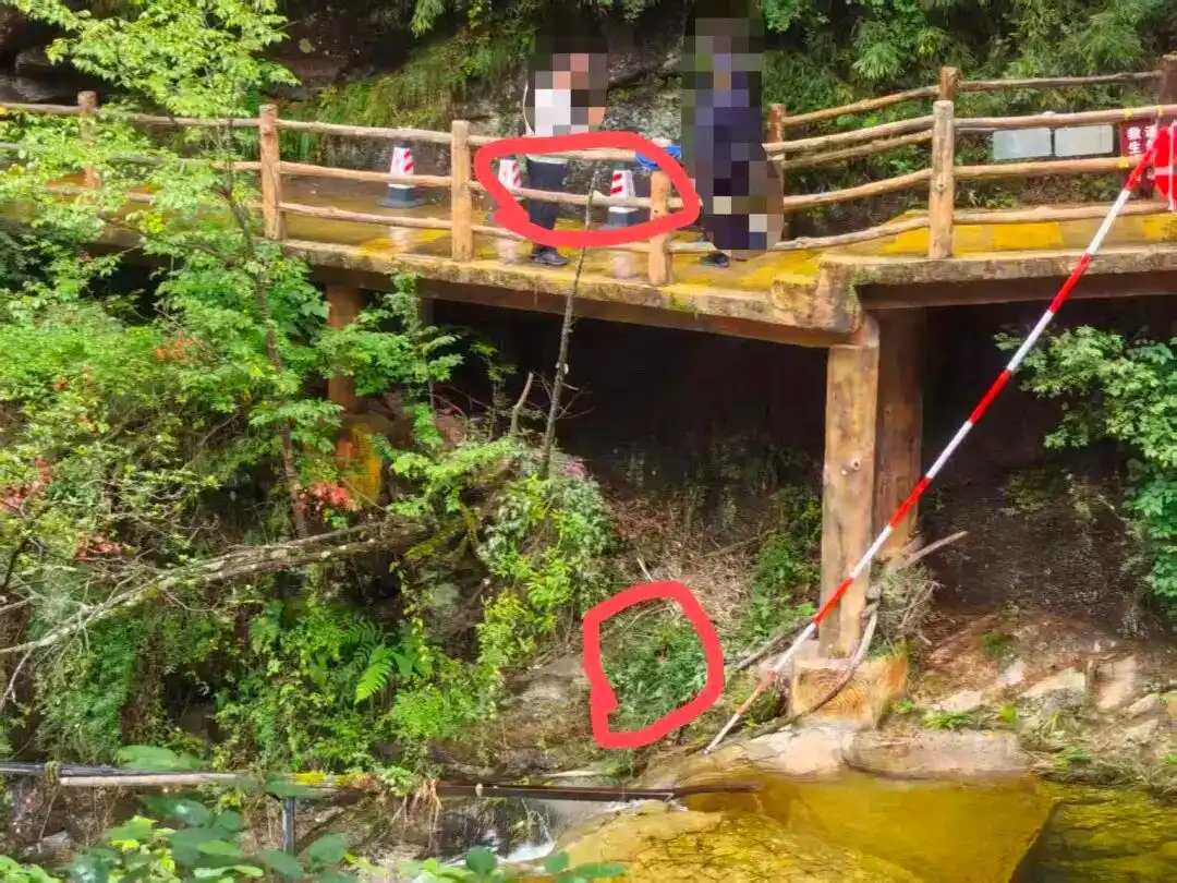 熊猫谷景区栈道缝隙坠落_景区回应男童坠落栈道已加装护栏_佛坪县熊猫谷景区安全隐患