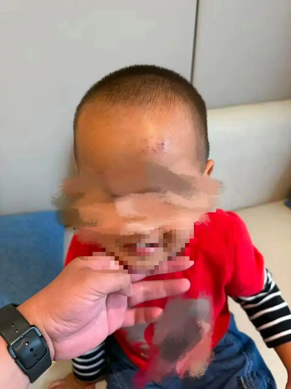 佛坪县熊猫谷景区安全隐患_景区回应男童坠落栈道已加装护栏_熊猫谷景区栈道缝隙坠落