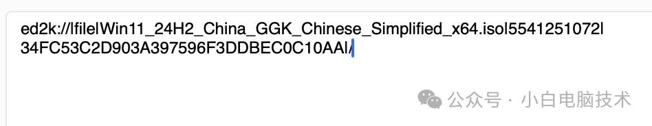最好用的磁力链 下载_迅雷qBittorrent磁力链接使用方法_ed2k磁力链接下载教程