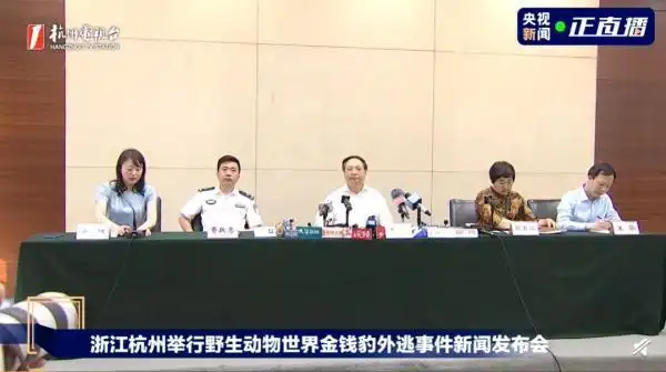 就离谱！“瞒豹”三周竟是因为这个……