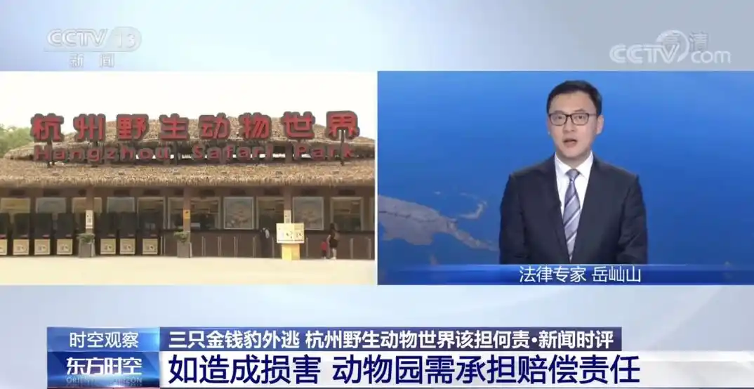 超21天！专家：豹3基本没有野外生存能力，要么隐蔽起来，要么可能已死亡