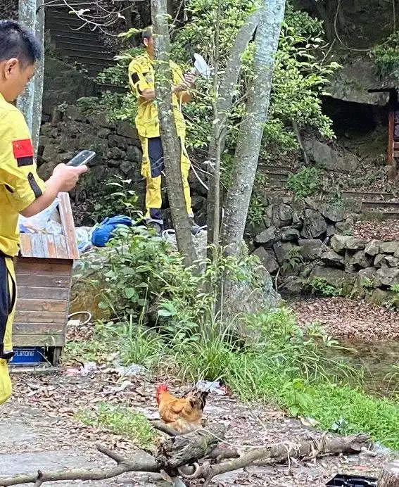 杭州野生动物世界金钱豹外逃事件_杭州金钱豹未找到数量_杭州逃逸豹子现身产3崽系谣言