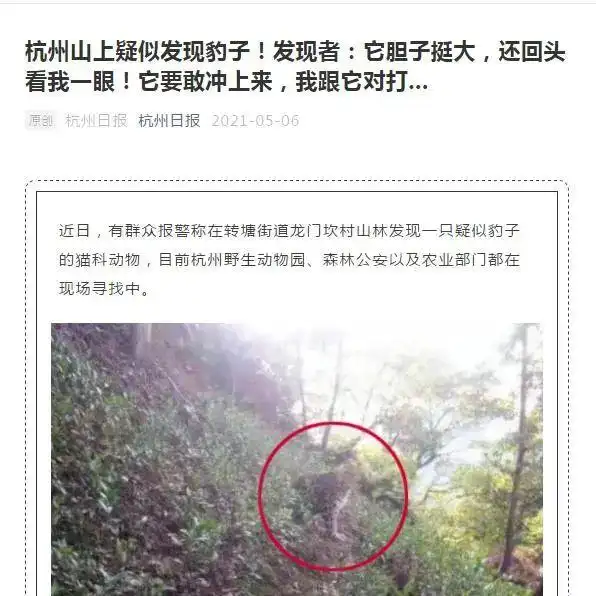 反复被打脸？盘点杭州“金钱豹外逃事件”争议时刻：瞒报、狗咬与断掌