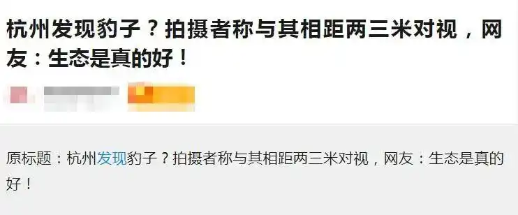 杭州野生动物世界金钱豹外逃事件_金钱豹杭州外逃真相_杭州逃逸豹子现身产3崽系谣言