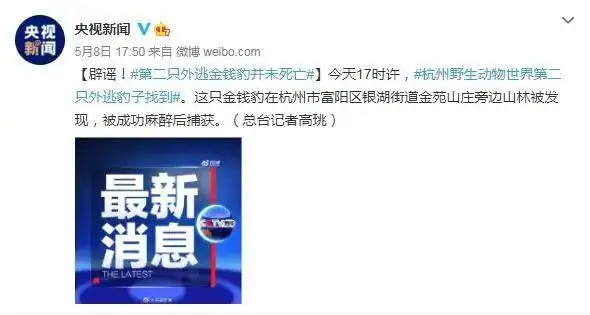 杭州逃逸豹子现身产3崽系谣言_杭州野生动物世界金钱豹外逃事件_金钱豹杭州外逃真相