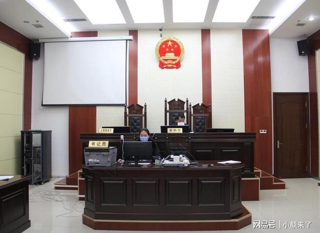 如何查询被法院执行的案件信息？