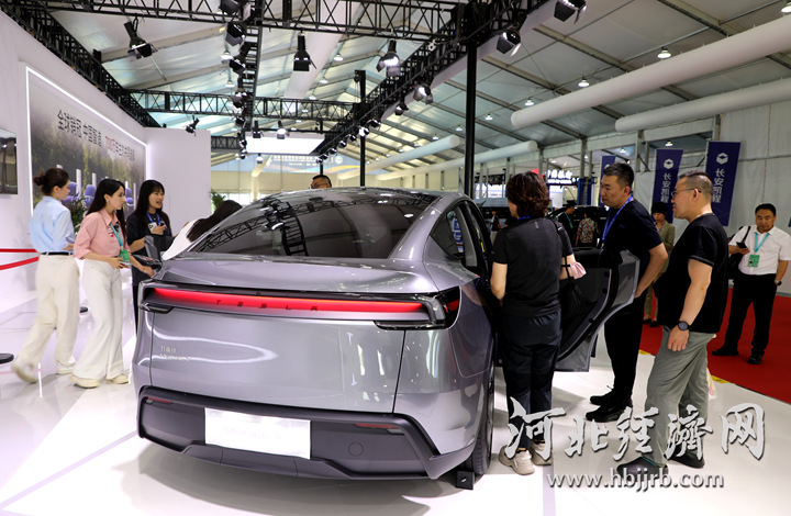 2025廊坊进出口特色商品展图片_河北消费促进活动_廊坊经洽会消费促进