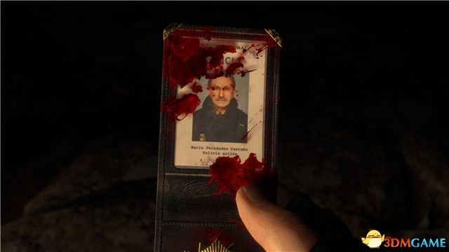 《生化危机4:重制版》图文全剧情流程攻略 全支线任务全收集攻略