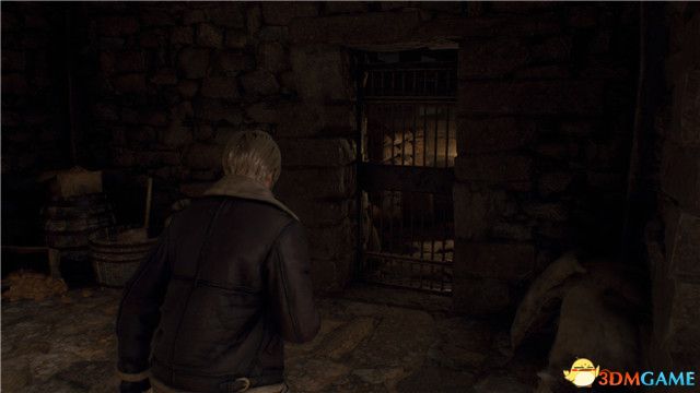 《生化危机4:重制版》图文全剧情流程攻略 全支线任务全收集攻略