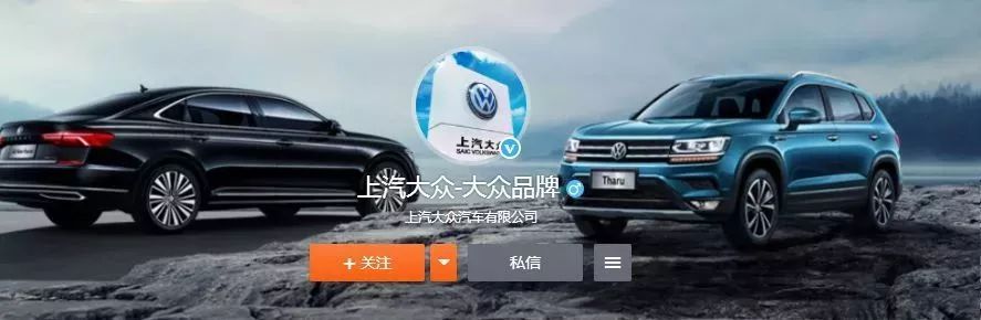 占领公众号品牌词搜索首页_微信订阅号内容持续输出_免费网络推广选顶峰