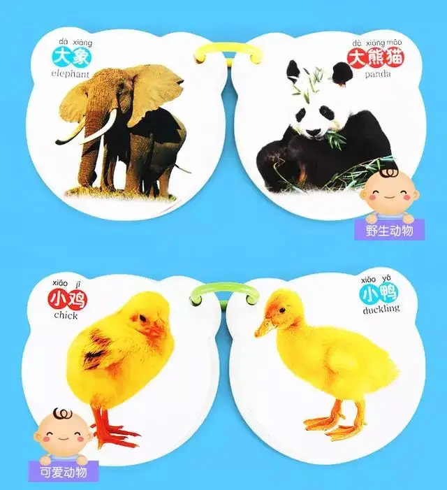 可以和孩子在家玩的3-8岁幼儿识字游戏（珍藏版）