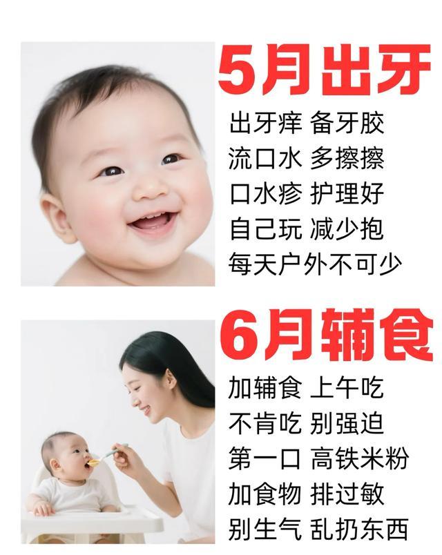 家长通关育儿技巧_宝宝第一年月历育儿策略_记录宝宝成长各项指标分析的网站