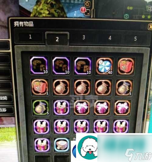 龙之谷重炮学者技能PK效果与技巧大揭秘 打造最强PK战士