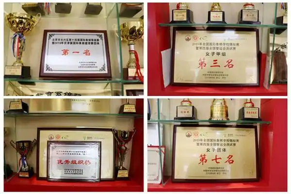 国际象棋大师_北京市大兴区第九小学 国际象棋特色学校 高雅中国人