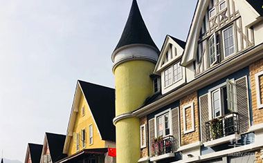 知识产权局属于什么级别