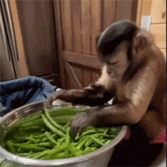 远程监控手机软件_家长监控孩子手机软件_能搜舞蹈的软件