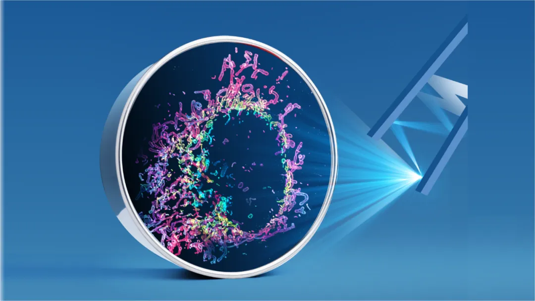 2025中国十大新闻事件_Light10评选活动_2024中国光学十大社会影响力事件