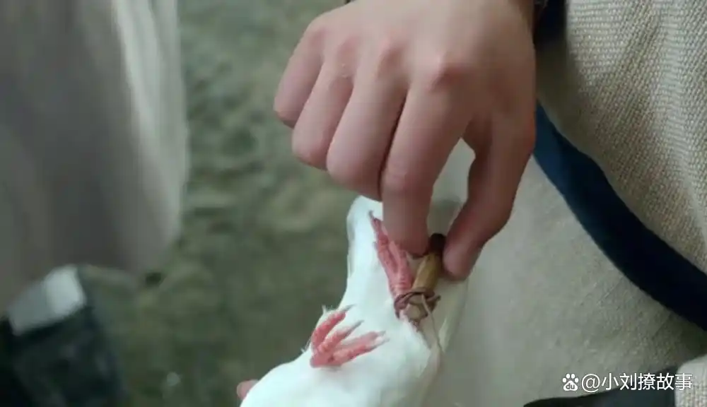 青鸟传书鱼传尺素鸿雁传书黄耳传书_古代通信方式_古时候传递信息的方式