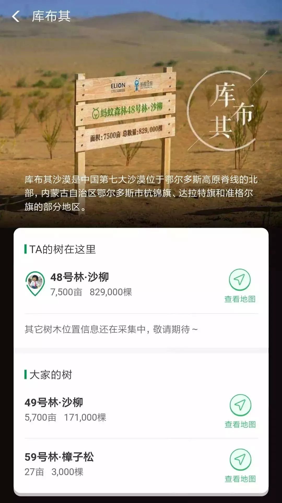蚂蚁森林游戏攻略_支付宝家庭树变化几次图片_蚂蚁森林怎么玩