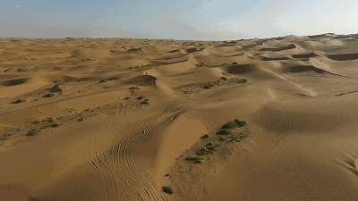 支付宝家庭树变化几次图片_蚂蚁森林游戏攻略_蚂蚁森林怎么玩