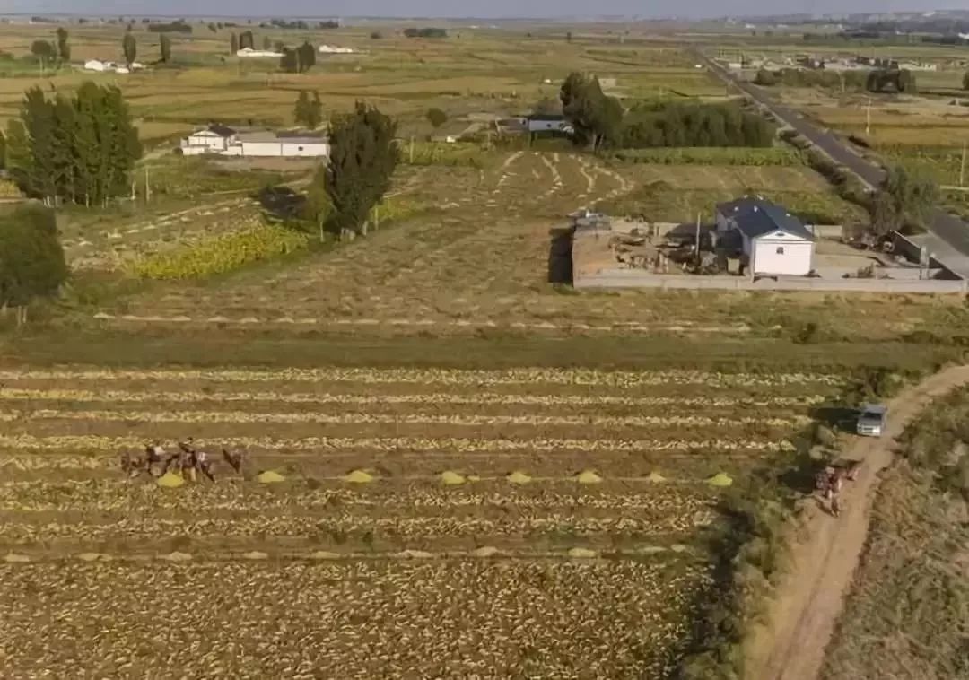 蚂蚁森林怎么玩_蚂蚁森林游戏攻略_支付宝家庭树变化几次图片