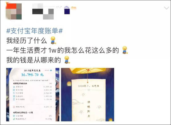支付宝年度账单_网友百万富翁身份_支付宝家庭树变化几次图片