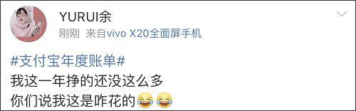 支付宝年度账单_支付宝家庭树变化几次图片_网友百万富翁身份