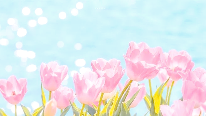 学校运动会的好词、好句、好段精选，值得收藏！