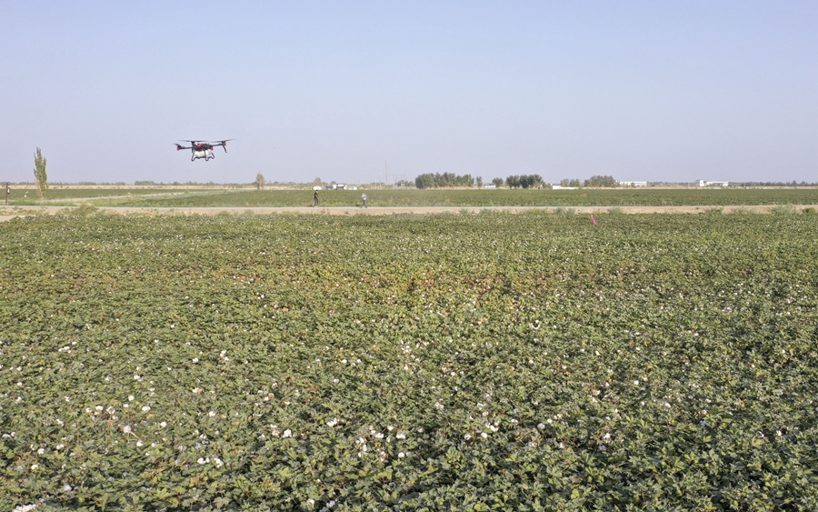 习近平总书记关心新疆建设发展故事_民族团结一家亲_总书记的“家常话”格外暖心