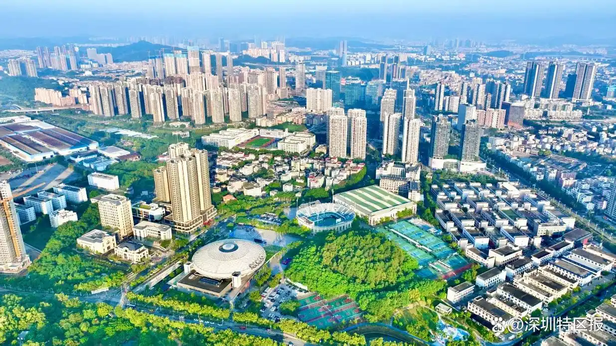 赛场内外“美美与共”！来坪山解锁十五运会更多精彩