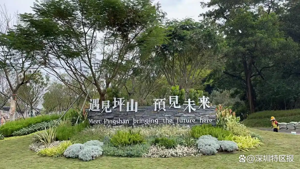 艺术体操比赛坪山_十五运坪山赛区_带你打卡十五运场馆