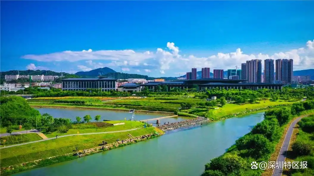 艺术体操比赛坪山_十五运坪山赛区_带你打卡十五运场馆