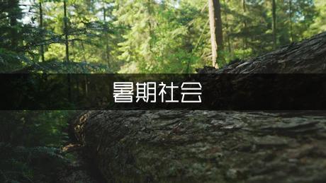 校团委暑期社会实践队新闻稿范文（模板3篇）