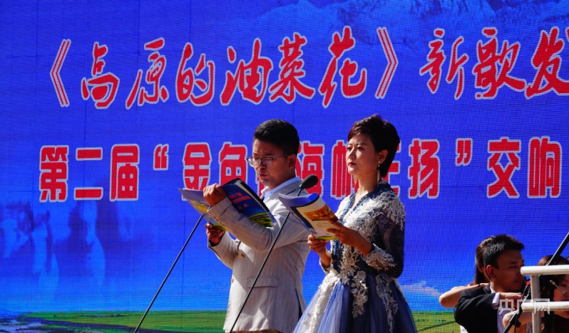 高原的油菜花歌曲发布 门源油菜花文化符号 印青作曲门源油菜花_油菜花歌曲