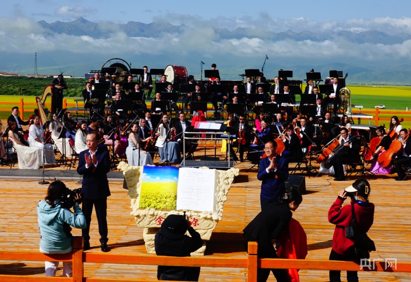油菜花歌曲_高原的油菜花歌曲发布 门源油菜花文化符号 印青作曲门源油菜花