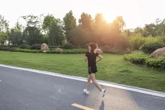减肥药什么牌子好_左旋肉碱哪个牌子纯度高效果好不伤身体_左旋肉碱高纯度产品推荐及功效分析