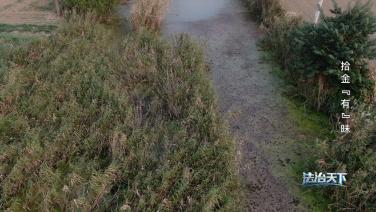 拾金不昧纠纷案件法院审理_收花生找到姥姥丢了12年的金镯子_清晨赶集遗失金手镯众人说出捡拾者矢口否认