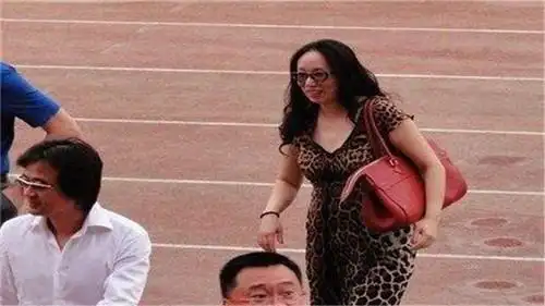 中国女富豪戴秀丽 离婚原因 富豪夫妻矛盾_戴秀丽陕西