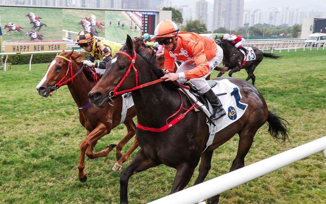 内地游客增长近一倍_香港赛马会2025好运1月1赛马日_香港赛马会资料库官网